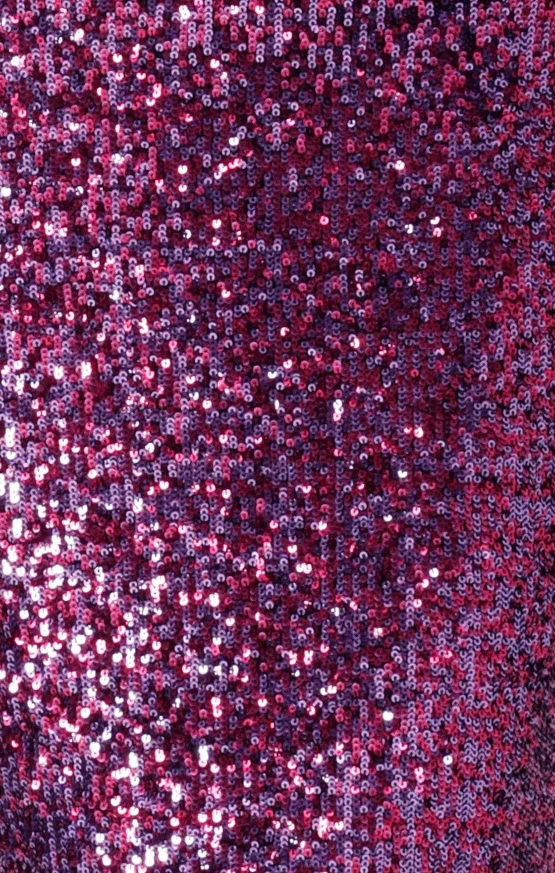 Sequin Stretch Skirt